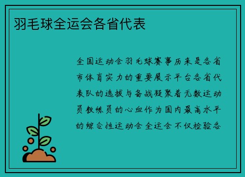 羽毛球全运会各省代表